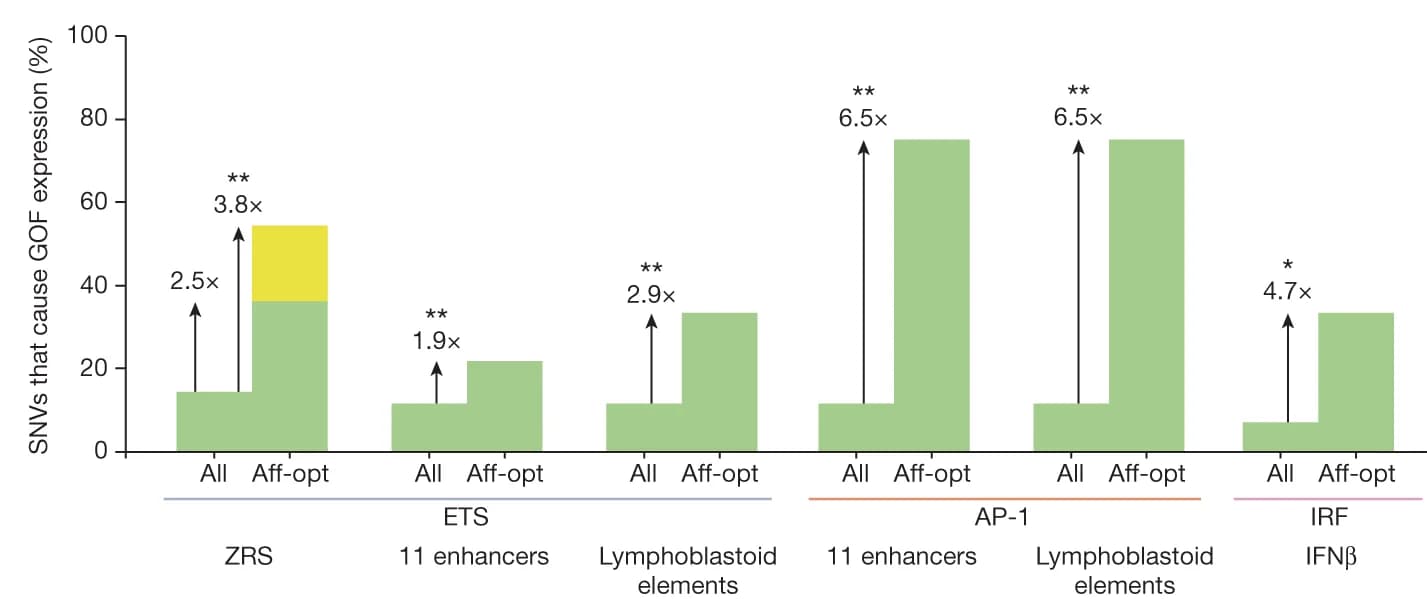 Open access visualization of Bar Plot, Stacked Bar Plot, Affinity-Optimizing SNVs, GOF Enhancer Variants, SNVs