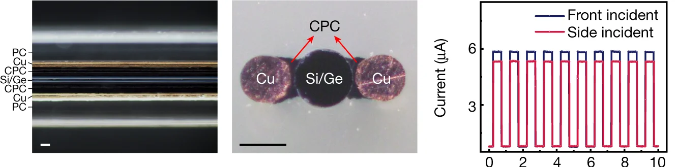 Open access visualization of Photo, Microscopy, Line Plot, Line Step, Optoelectronic Fibre