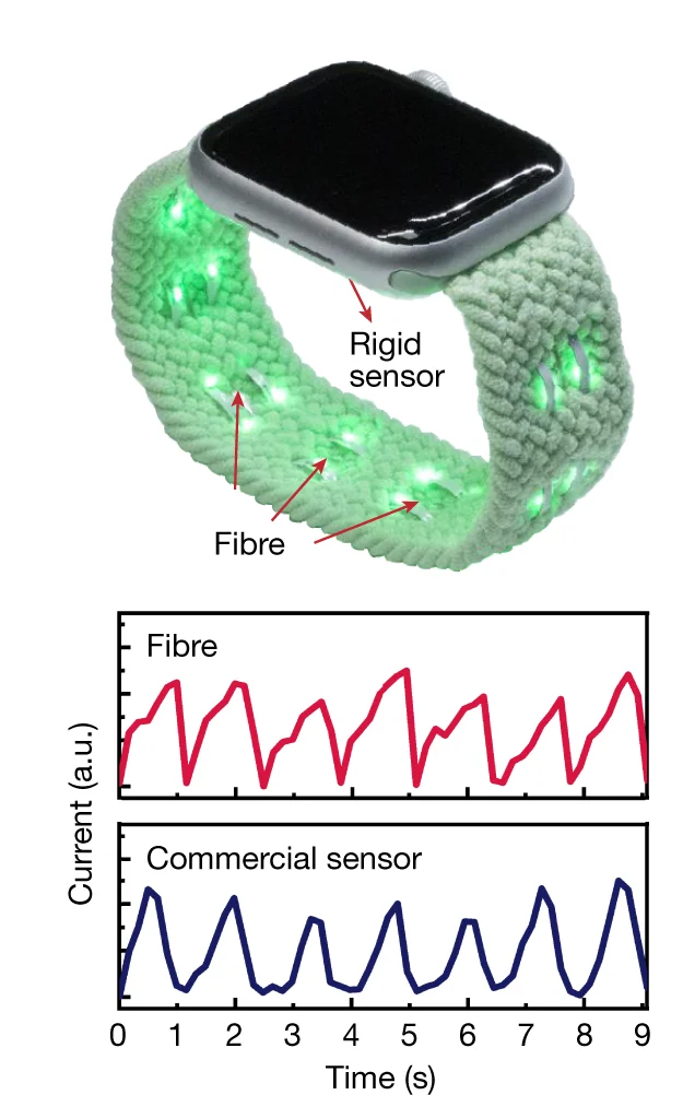 Open access visualization of Line Plot, Photo, Watchband, Heart Pulses, Photoplethysmography