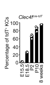 Open access visualization of Bar Plot, Scatter Plot, Flow Cytometry, tdT Expression, TIM4+ KCs