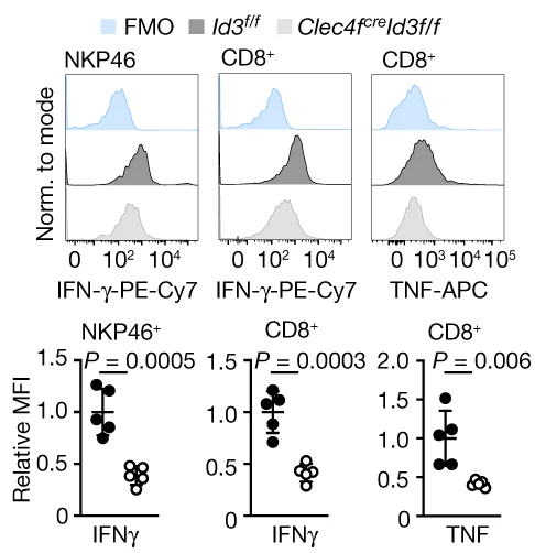 Open access visualization of Density Plot, Scatter Plot, IFNγ, TNF, NKP46+ Cells