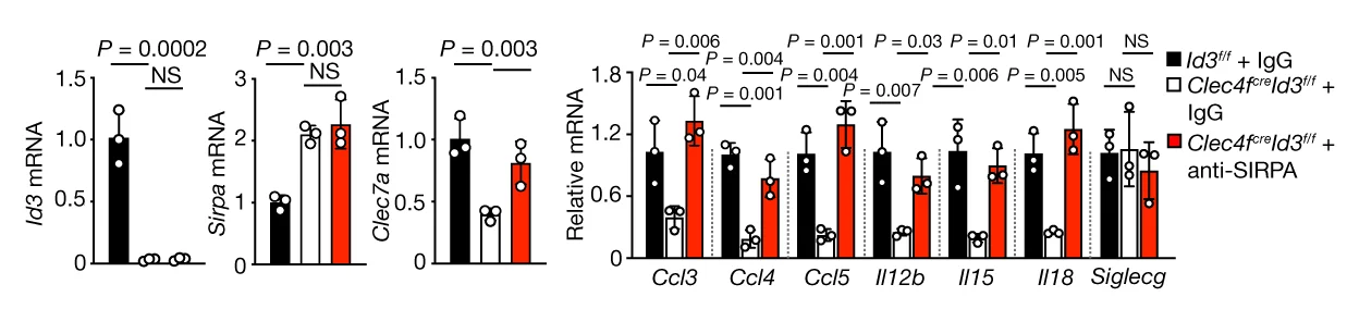 Open access visualization of Bar Plot, Error Bars, Clustered, Clec4f Cre Id3 F/F Mice, Id3 F/F Littermates