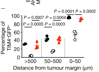 Open access visualization of Scatter Plot, TIM4+ KCs, GFP+ Material, Peritumoural Niche, Id3 F/F + IgG