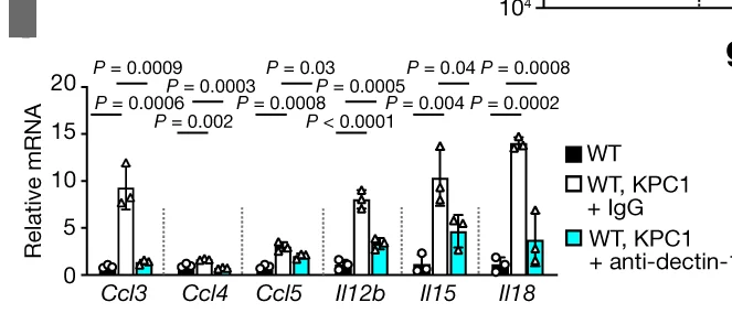 Open access visualization of Bar Plot, Error Bars, Clustered, RT-qPCR, mRNA Gene Expression