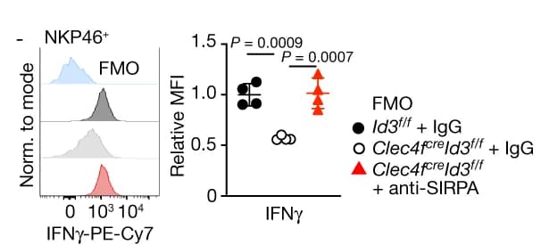 Open access visualization of Scatter Plot, Density Plot, Flow Cytometry, CD8+ T Cells, NK Cells
