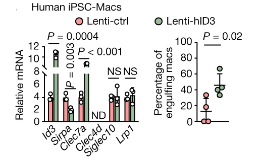 Open access visualization of Bar Plot, Scatter Plot, Error Bars, RTqPCR Analysis, Cas-Green PANC-1-mtdT Cells