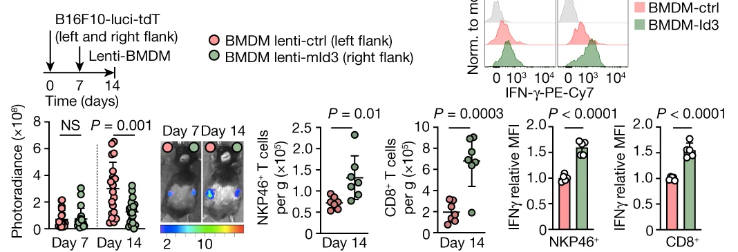 Open access visualization of Bar Plot, Error Bars, Line Plot, Scatter Plot, C57BL/6J Mice