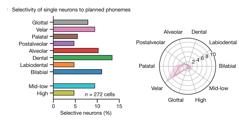 Open access visualization of Bar Plot, Line Plot, Modulated Neurons, Planned Phonemes, Tuning Curve