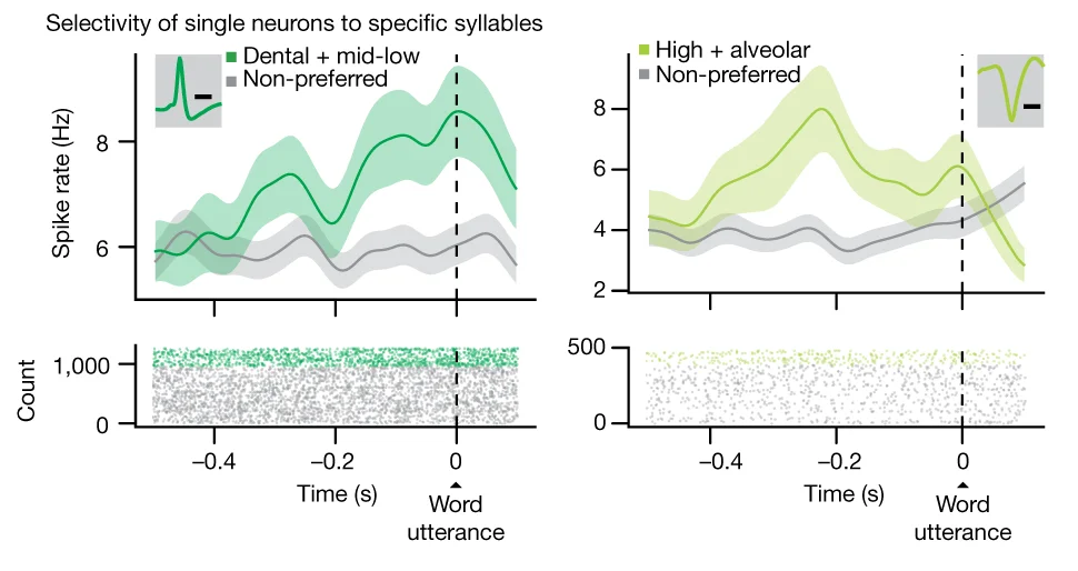 Open access visualization of Line Plot, Error Bars, Scatter Plot, Peri-event Time Histograms, Action Potentials
