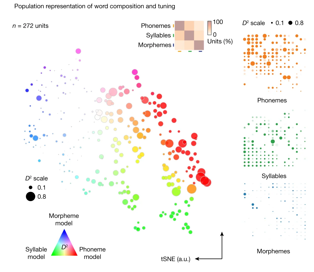 Open access visualization of Scatter Plot, Bubble Plot, Heatmap, Neurons, Word Features