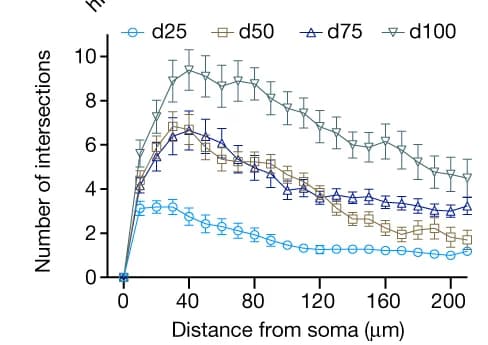 Open access visualization of Line Plot, Error Bars, Neurite Complexity, Sholl Analysis, Quantification