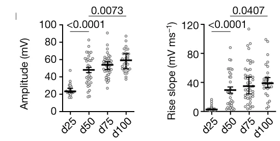 Open access visualization of Scatter Plot, Error Bars, Electrophysiology, Action Potential Amplitude, Rise Slope