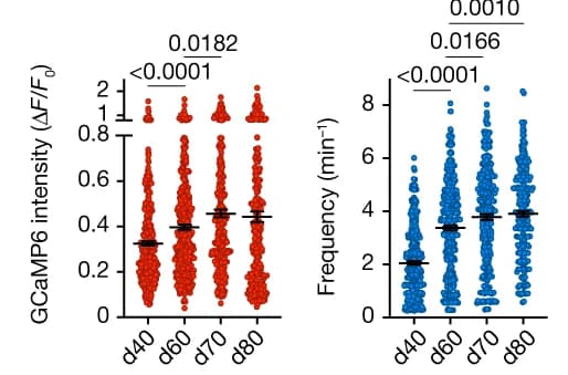 Open access visualization of Scatter Plot, Error Bars, Calcium Spikes, Amplitude, Frequency