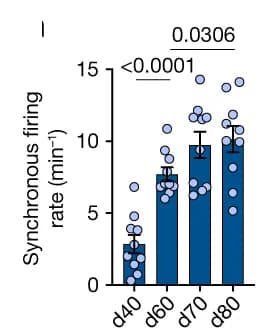 Open access visualization of Bar Plot, Scatter Plot, Error Bars, Firing Rate, Calcium Imaging