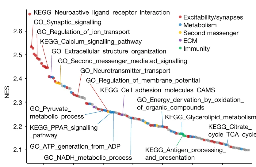 Open access visualization of Scatter Plot, Waterfall Plot, Pathways, Neurons, GSEA