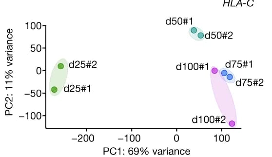 Open access visualization of Scatter Plot, PCA, PCA Plot, ATAC-seq, Maturation Stage