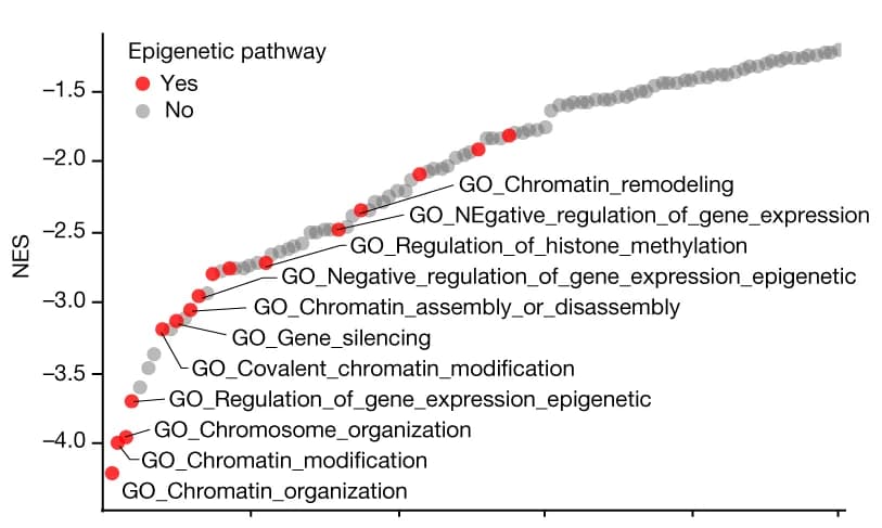 Open access visualization of Scatter Plot, Waterfall Plot, Pathways, Neuronal Maturation, GSEA