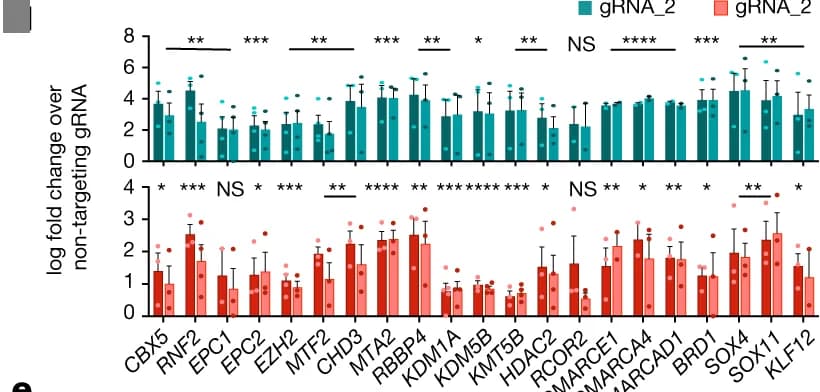 Open access visualization of Bar Plot, Error Bars, Clustered, Scatter Plot, Western Blot