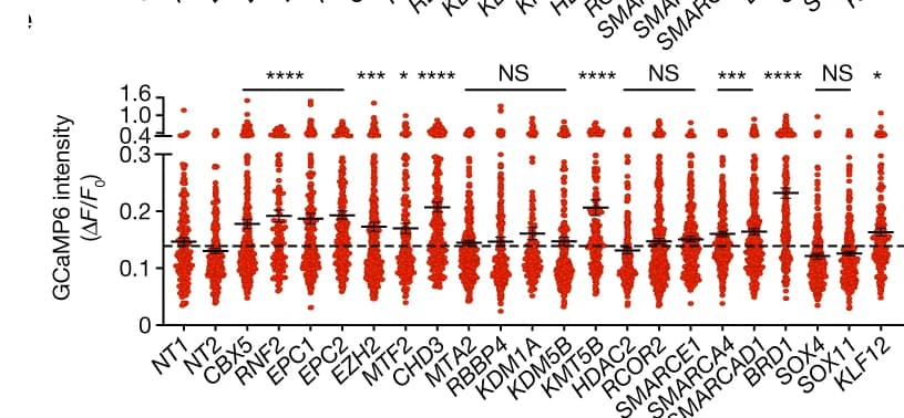 Open access visualization of Scatter Plot, Error Bars, Calcium Spikes, Neurons, Gene Knockout