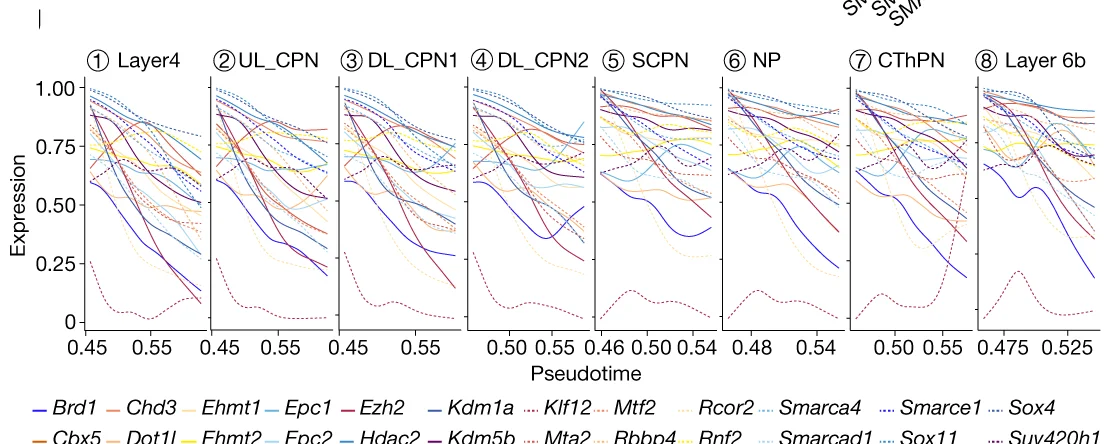 Open access visualization of Line Plot, Density Plot, Gene Expression, Mouse, Chromatin Regulator Genes