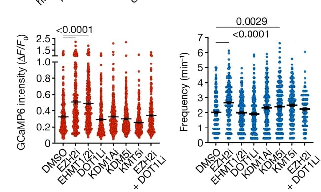 Open access visualization of Scatter Plot, Error Bars, Calcium Spikes, Amplitude, Frequency