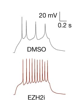 Open access visualization of Line Plot, Signal Traces