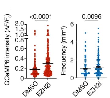 Open access visualization of Scatter Plot, Calcium Spikes, Amplitude, Frequency, Organoids