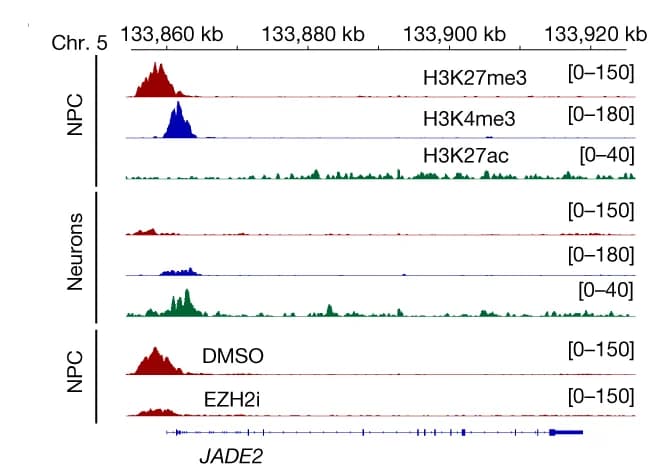 Open access visualization of Line Plot, Density Plot, H3K27me3, H3K4me3, H3K27ac