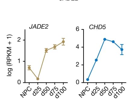 Open access visualization of Line Plot, Error Bars, CHD5, JADE2, Gene Expression