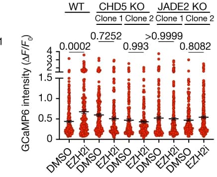 Open access visualization of Scatter Plot, Error Bars, Calcium Spikes, Neurons, EZH2i