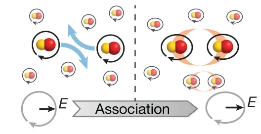 Open access visualization of Workflow, Illustration, Microwave Polarization, NaK Dimers, Tetramers