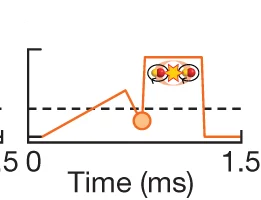 Open access visualization of Line Plot, Line Step, Waveform, Dissociation, Tetramer