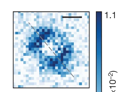 Open access visualization of Heatmap, Time of Flight Images, Modulation Dissociation, Tetramers, Microwave Ellipticity