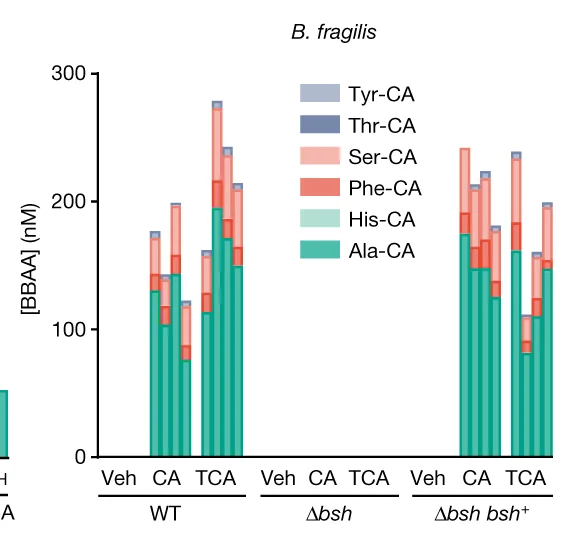 Open access visualization of Stacked Bar Plot, BSH Knockout, B. Fragilis, Aminotransferase Activity, CA