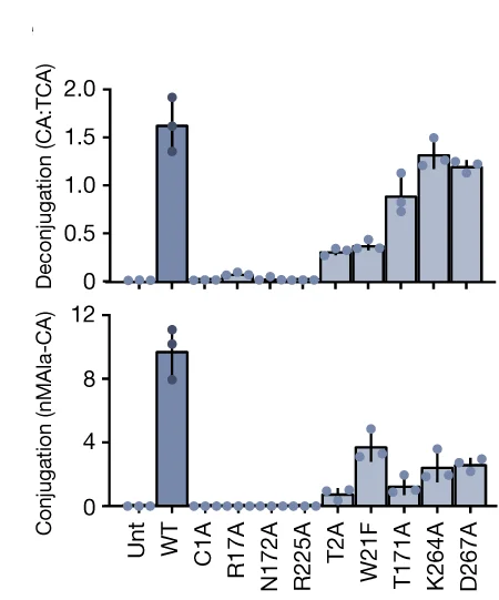 Open access visualization of Bar Plot, Error Bars, Scatter Plot, E. Coli BL21(DE3), Bl BSH