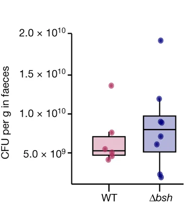 Open access visualization of Box Plot, Scatter Plot, Bile Acid, Germ-Free Mice, C57BL/6 J Mice