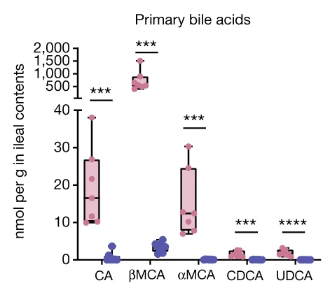 Open access visualization of Box Plot, Scatter Plot, Ileal Contents, Primary Bile Acids, LC-MS/MS