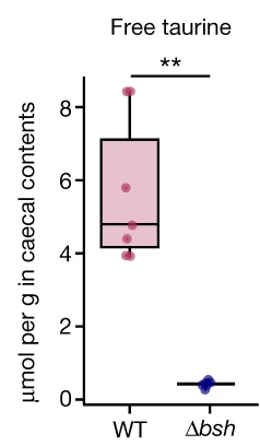 Open access visualization of Box Plot, Scatter Plot, Free Taurine, Caecal Contents, NMR