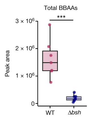 Open access visualization of Box Plot, Scatter Plot, BBAA, Ileal Contents, LC-MS/MS
