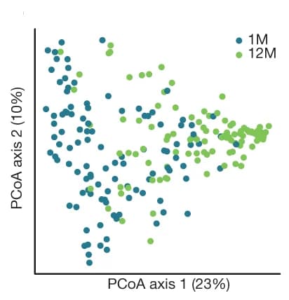 Open access visualization of Scatter Plot, Principal Coordinate Analysis, Bray-Curtis Dissimilarity, Infants, PERMANOVA Test