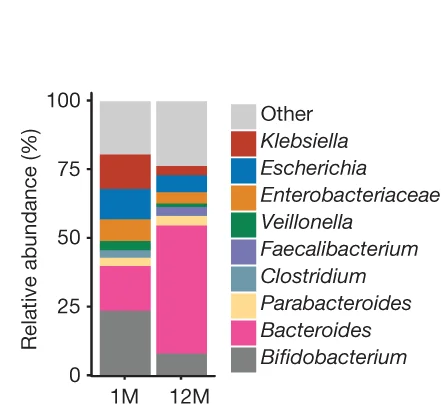 Open access visualization of Stacked Bar Plot, Barplot, Fecal Microbiota Composition, Infants, Genera