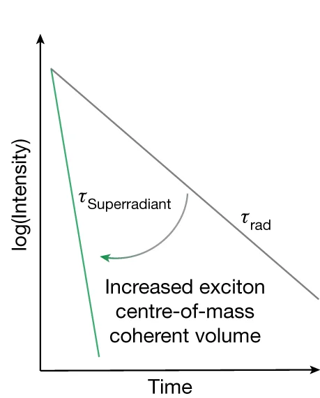 Open access visualization of Line Plot, Photoluminescence Decay, Superradiance, Quantum Dots, Quantum Confinement
