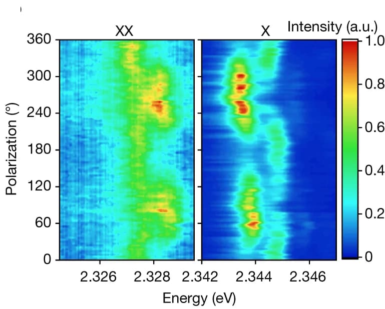 Open access visualization of Heatmap, Polarization-Resolved Photoluminescence, Biexciton, Exciton