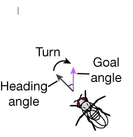 Open access visualization of Illustration, Heading Angle, Goal Angle, Turning