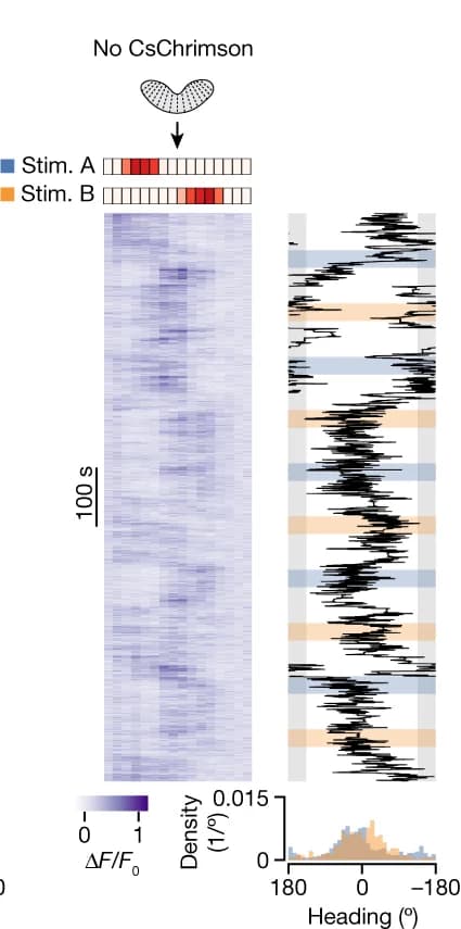 Open access visualization of Heatmap, Line Plot, Density Plot, FC2 Signal, Behavioral Traces
