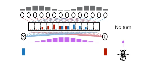 Open access visualization of Bar Plot, Workflow, Heading Angle, Goal Angle