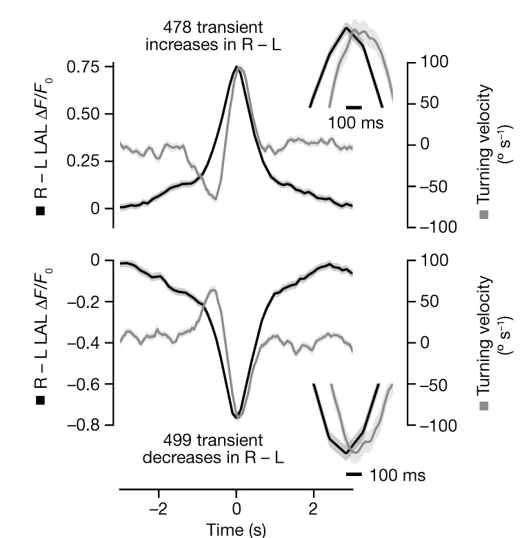 Open access visualization of Line Plot, Error Bars, Turning Velocity, R-L Signal, Flies
