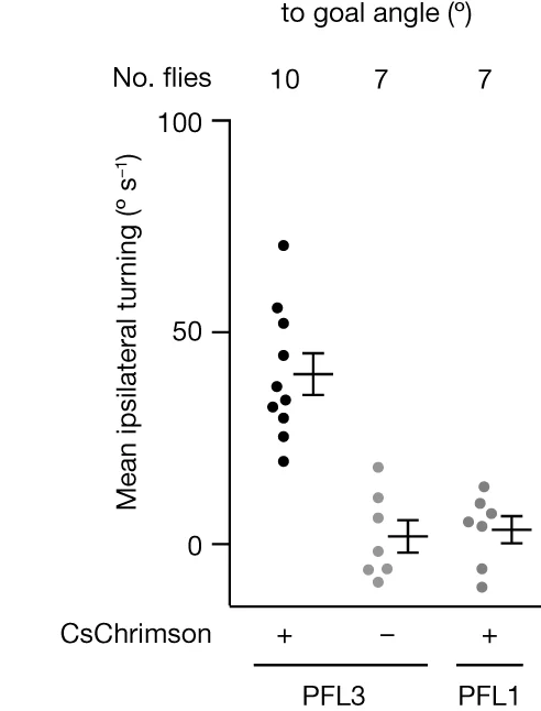 Open access visualization of Scatter Plot, Error Bars, Turning Velocity, LAL Stimulation, PFL3 Cells