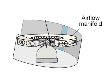 Open access visualization of Illustration, Airflow, Visual Stimuli, Closed Loop, Fly