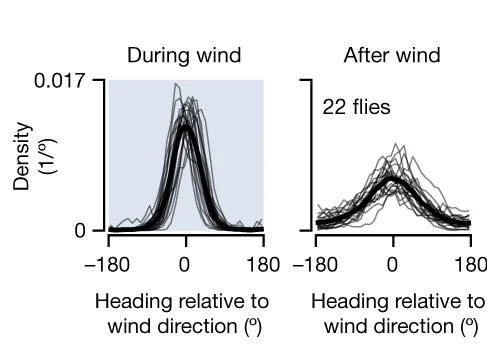 Open access visualization of Density Plot, Line Plot, Heading, Wind Distributions, Control Flies